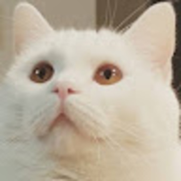 mifyuu
